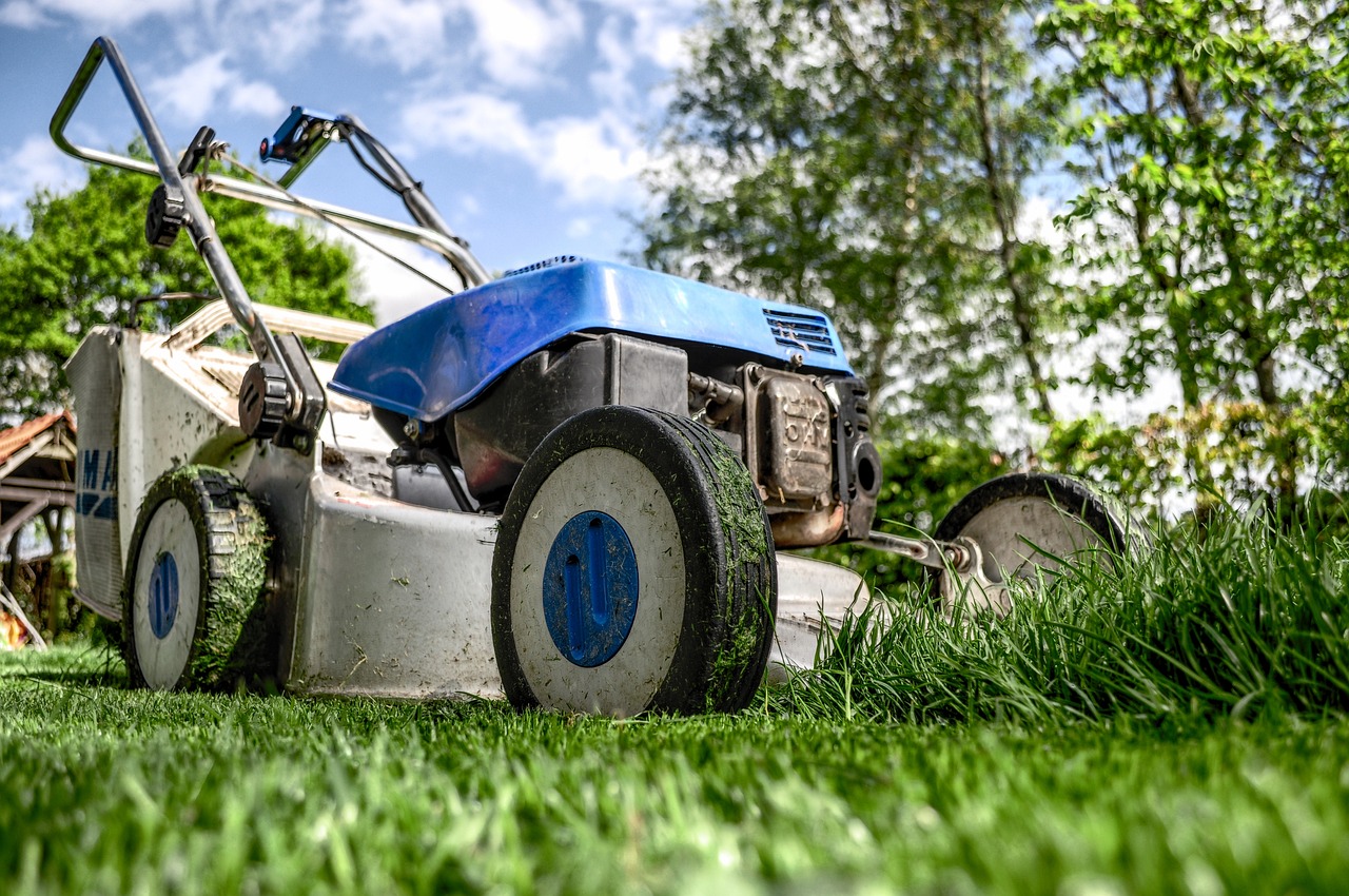 Types of Grass for Turf: Choosing the Right Fit for Your Lawn